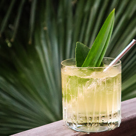 Cocktail Guide Brochure