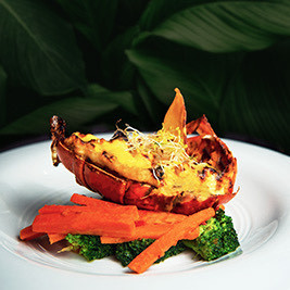 Restaurant Guide Brochure