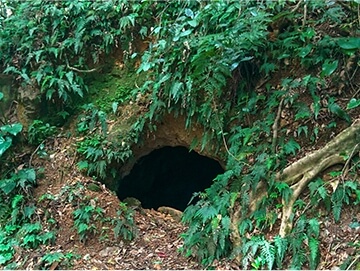 Cave trail