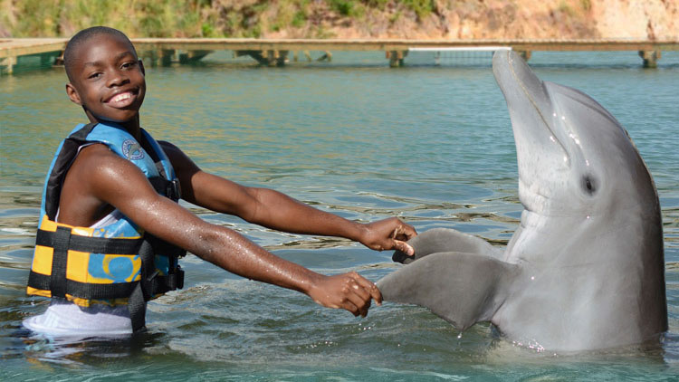 GET FACE TO FIN