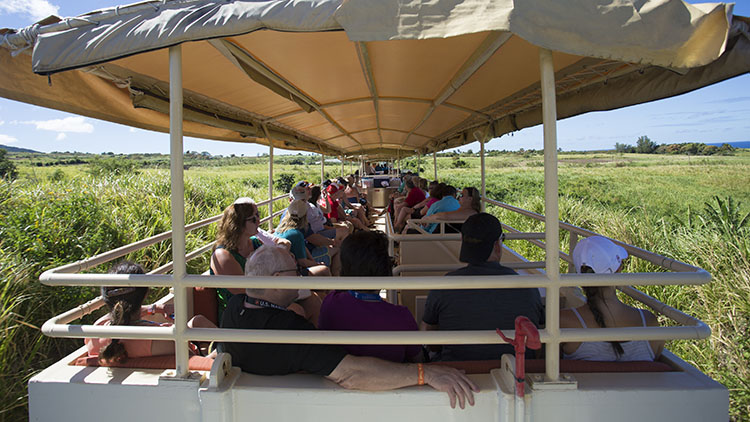 SCENIC RAILWAY TOUR